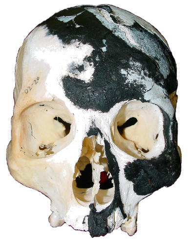 smallskull